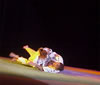 Cécile Nowak et Sylvain Anselmo